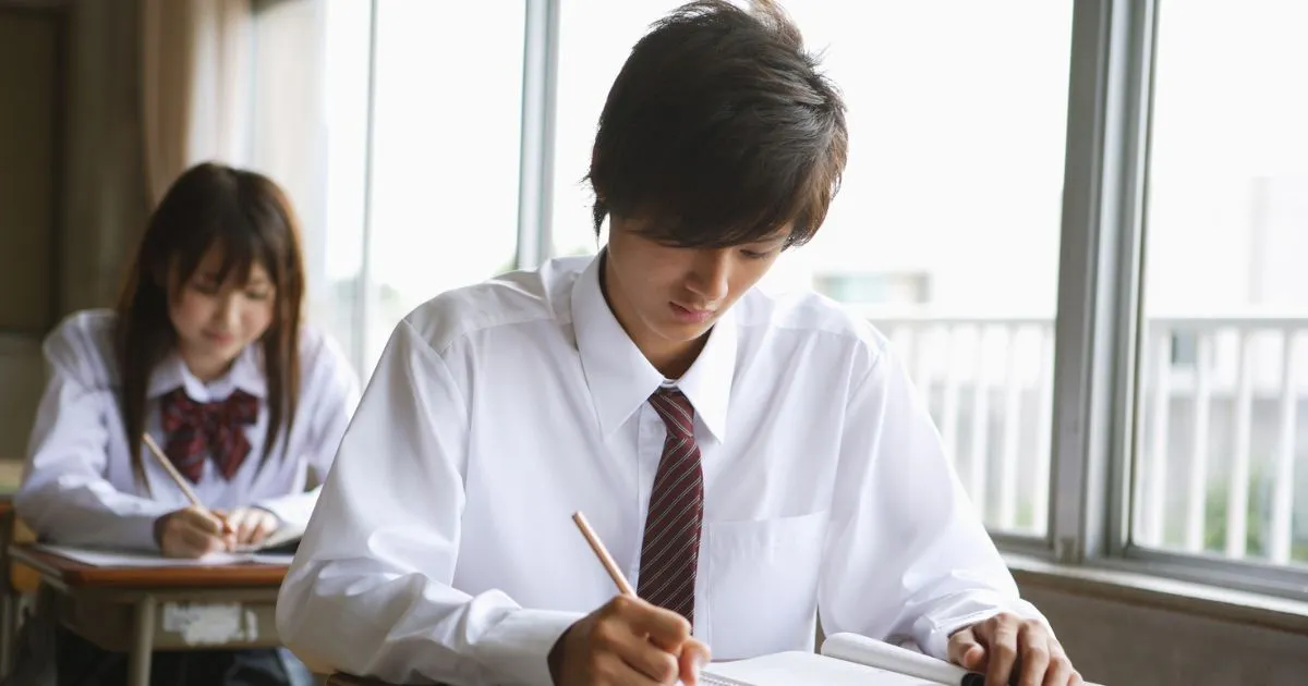 Kapan CPNS 2026 Dibuka?