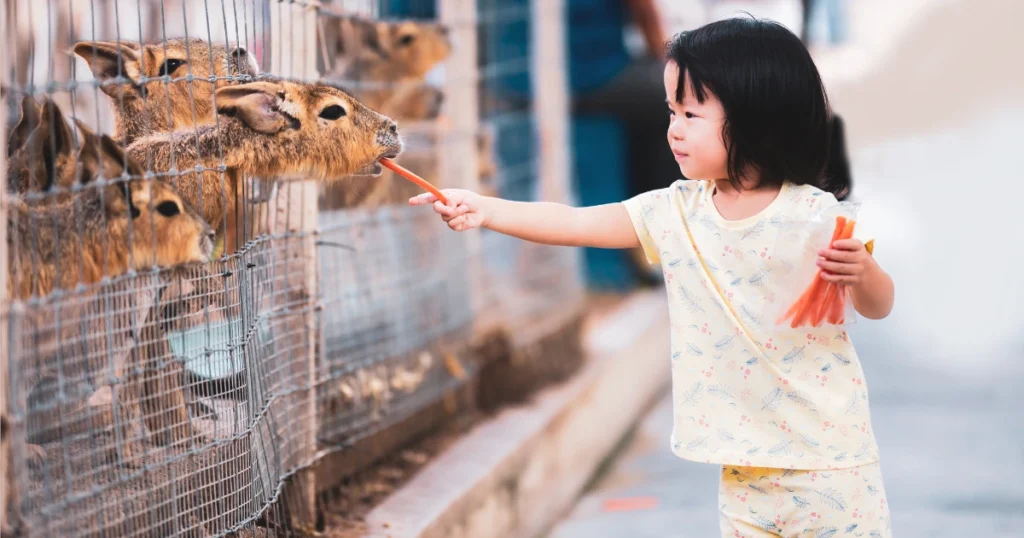 Rekomendasi Wisata Ramah Anak Di Indonesia